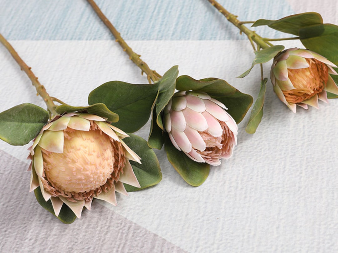 Artificial Protea Flower Stems With Leaves, Tropical Flower Craft, Home