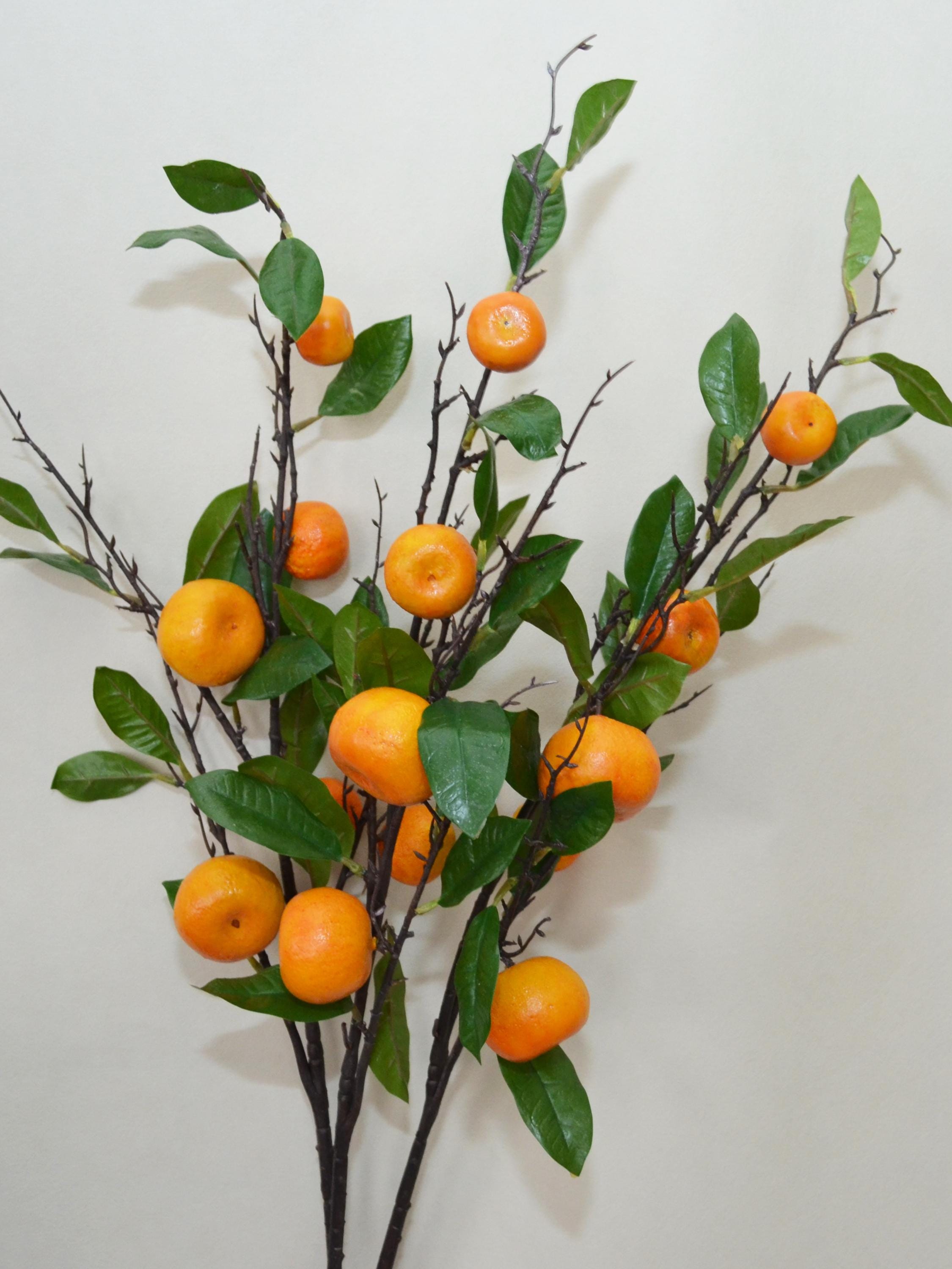 Realistic Citrus Stem, Artificial Orange Fruit Stem With Leaves, Autumn ...