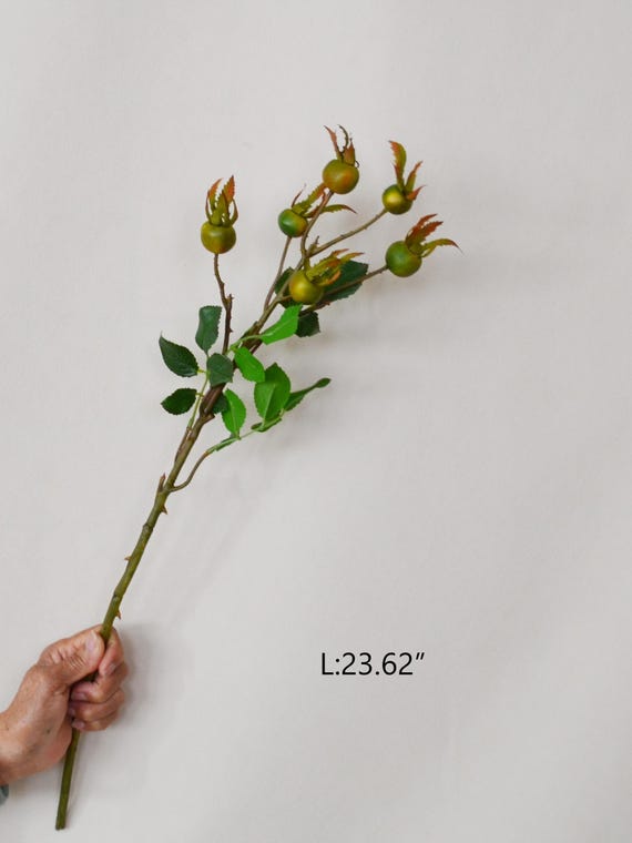 Knstliche Hagebutten, echte Hagebutten, Bauernhaus Dekor, knstliche  Hagebutten, rustikale Pflanzen Dekoration, Wohnkultur, knstliche Beeren -  Etsy.de