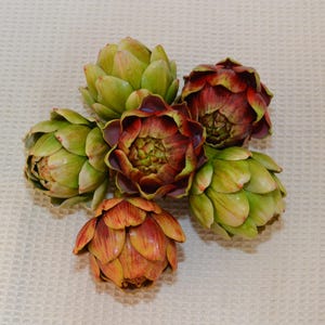 May include: A group of six artichokes, some green and some red, arranged in a cluster. The artichokes have a textured, spiky appearance.