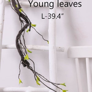 May include: A long, brown, vine-like stem with small green leaves. The stem is hanging from a white ladder. The text "Young leaves L-39.4" is printed on a white background.