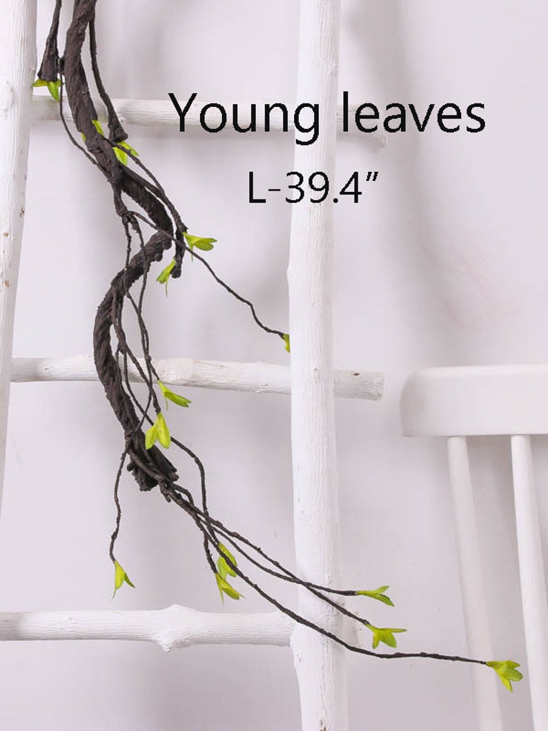 May include: A long, brown, vine-like stem with small green leaves. The stem is hanging from a white ladder. The text "Young leaves L-39.4" is printed on a white background.