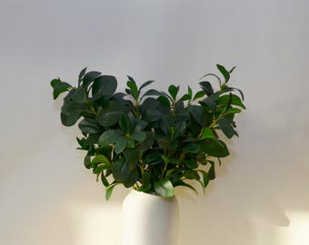 Artificial Ficus Natalensis Stem with Leaves, Fake Fig Leaf Stem, Fake Tropical Plants, Artificial Leaf Stem, Fig Decoration, Indoor Decor