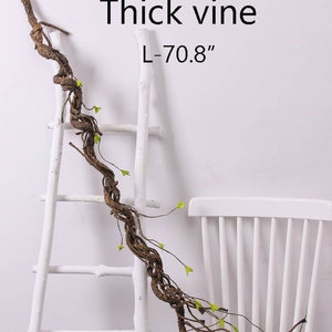 May include: A thick brown vine with green leaves, measuring 70.8 inches long, is draped over a white ladder and a white chair.