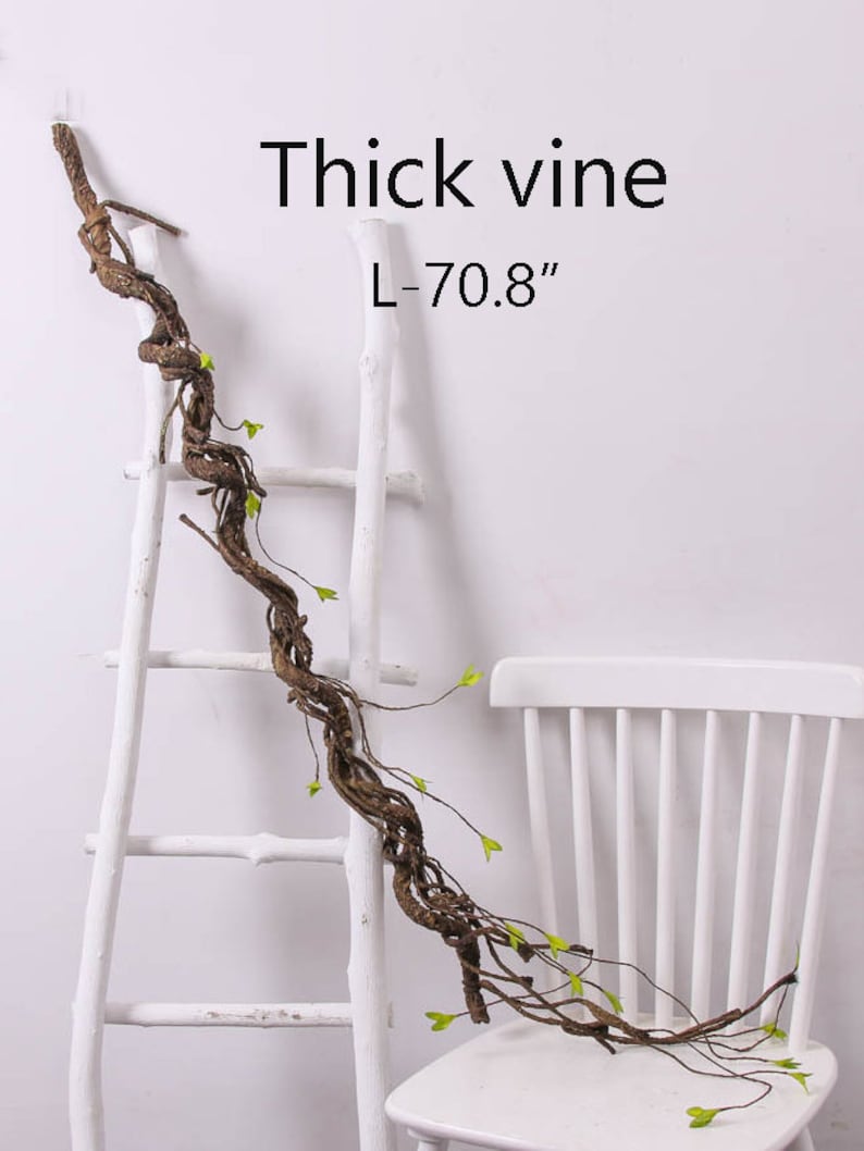 May include: A thick brown vine with green leaves, measuring 70.8 inches long, is draped over a white ladder and a white chair.