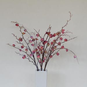 Künstlicher Kap-Stachelbeerstiel, Physalis Peruviana, getrocknete Laternenzweige für Wohnkultur, Hochzeitsarrangements, Blumenschmuck für Innenräume