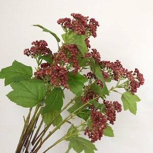 May include: A bunch of artificial berry sprigs with burgundy-coloured berries and green leaves.