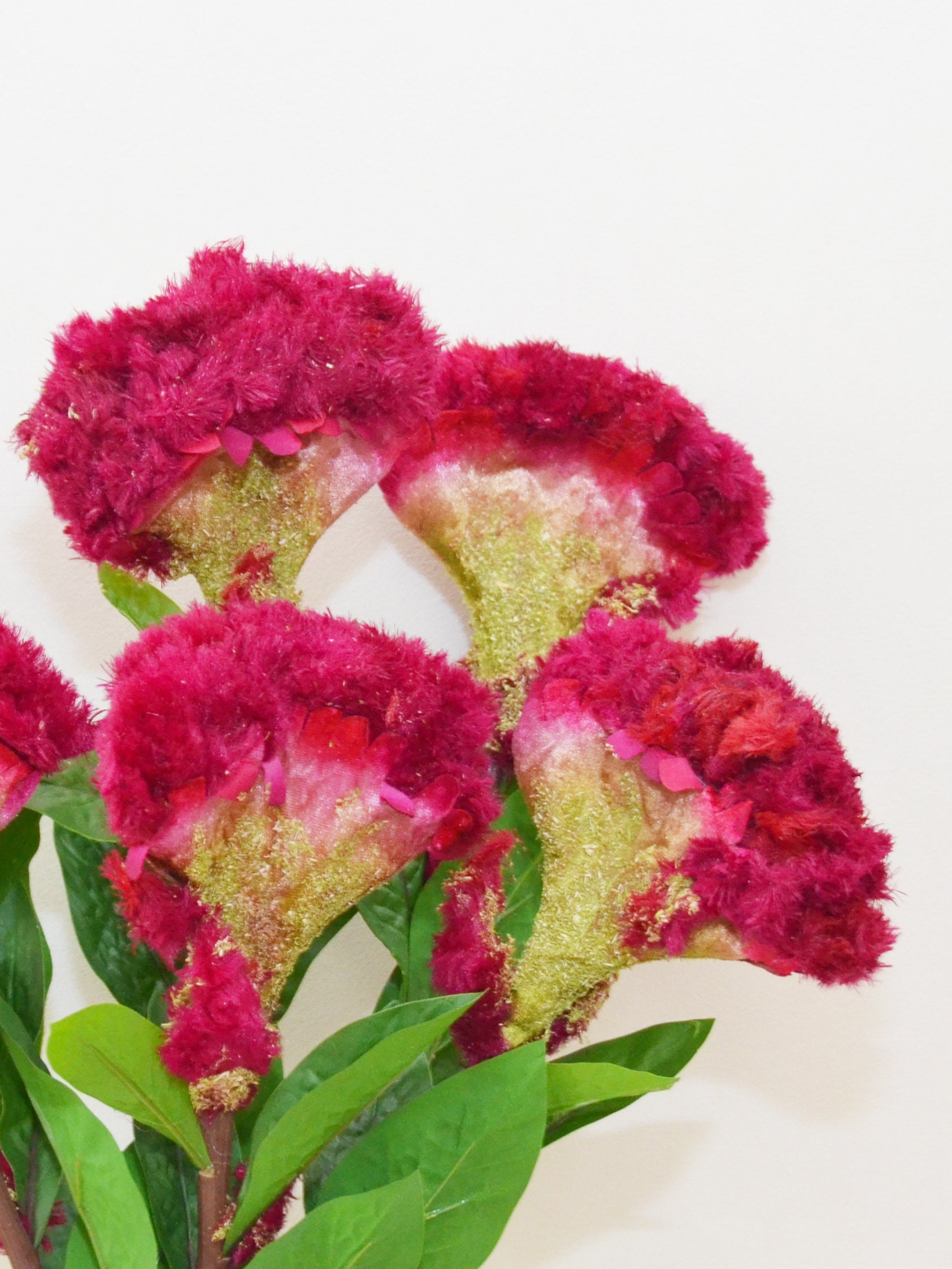 人工ケイトウの茎と葉、フェイクケイトウ、ホームフラワー