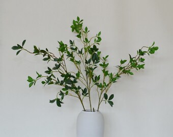May include: A white ceramic vase with a green leafy plant inside. The plant has many branches and small green leaves.