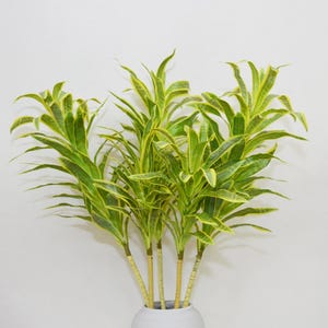 May include: A bunch of green and yellow leafy plants with long stems in a white ceramic pot.
