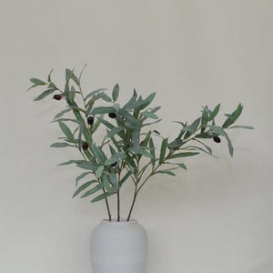 Puede incluir: Un jarr&oacute;n de cer&aacute;mica blanco contiene varias ramas de olivo con hojas verdes y aceitunas oscuras. Las ramas est&aacute;n dispuestas para crear una est&eacute;tica natural. El jarr&oacute;n es simple y cil&iacute;ndrico.