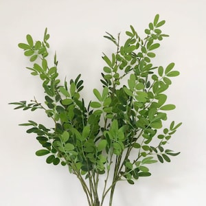 Artificial Locust Tree Leafy Branch, Sophora Japonica Twig, Chinese Scholartree Craft, Indoor Greenery Decor, Floral for Garland Wreath Arch