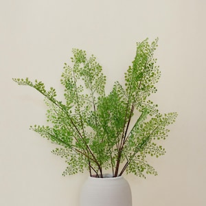 Felce capelvenere artificiale, stelo di cheilanthes finto, felce piumata finta, verde pregiato, mini gruppi di foglie, verde per matrimoni, elementi decorativi per vasi