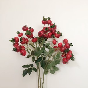 Puede incluir: Un ramo de bayas rojas artificiales con hojas verdes sobre un fondo blanco. Las bayas están agrupadas en los tallos, creando un aspecto lleno y exuberante.