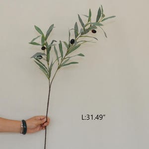 Puede incluir: Una rama de olivo artificial con hojas verdes y aceitunas negras. La rama la sostiene una persona y mide 80 cm de largo. El fondo es de un color neutro s&oacute;lido.