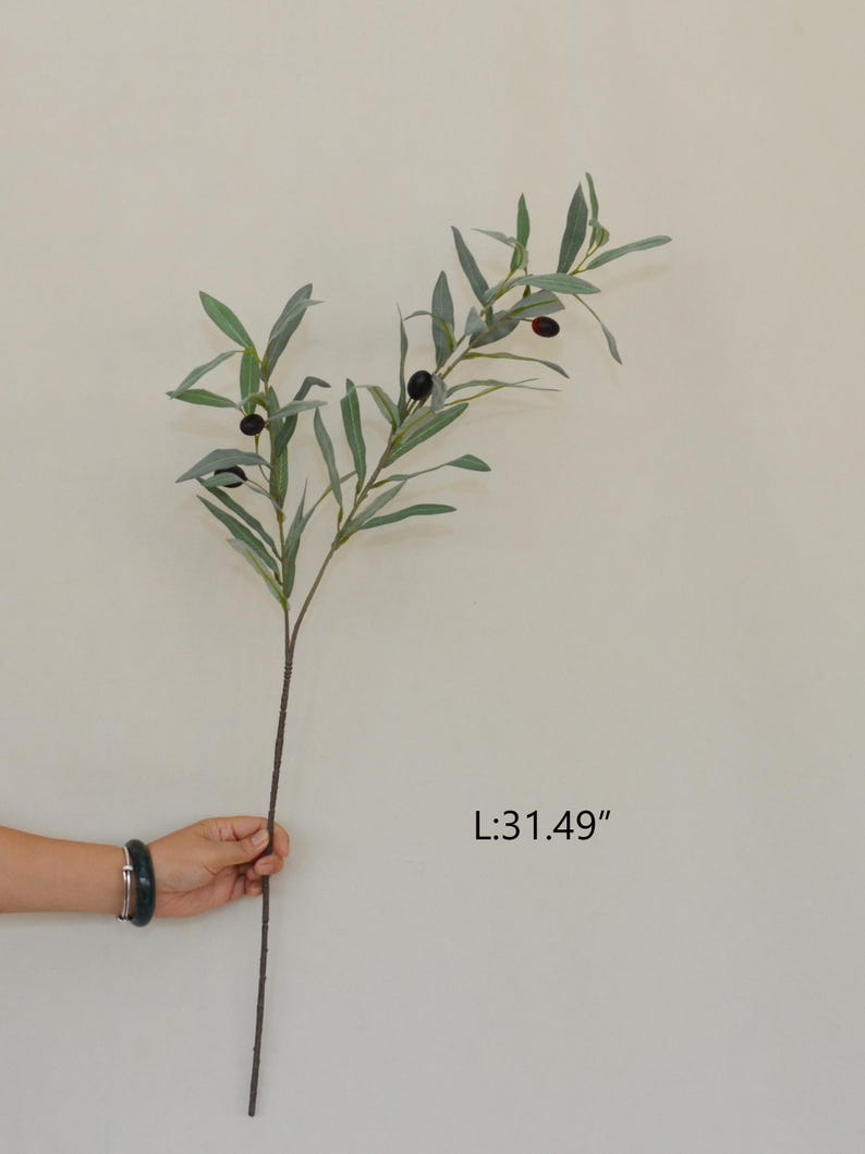 Puede incluir: Una rama de olivo artificial con hojas verdes y aceitunas negras. La rama la sostiene una persona y mide 80 cm de largo. El fondo es de un color neutro s&oacute;lido.