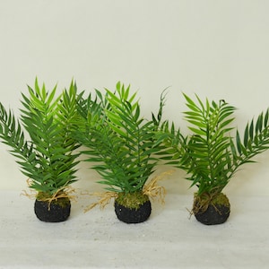 Künstlicher Farnmoosball mit Wurzeln, Lebensechter Farn, Kokedama Farn, Farnarrangement, Künstliche Wurzelpflanzen, Dekoration, Innendekor
