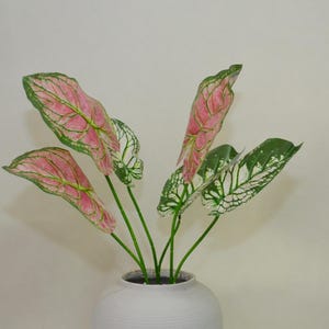 Fake Caladium Bicolor with Root, Artificial Flowers, Tropical Plant Crafts, Wedding Arrangements, Bouquets Wreaths Grass Fillers, Home Decor
