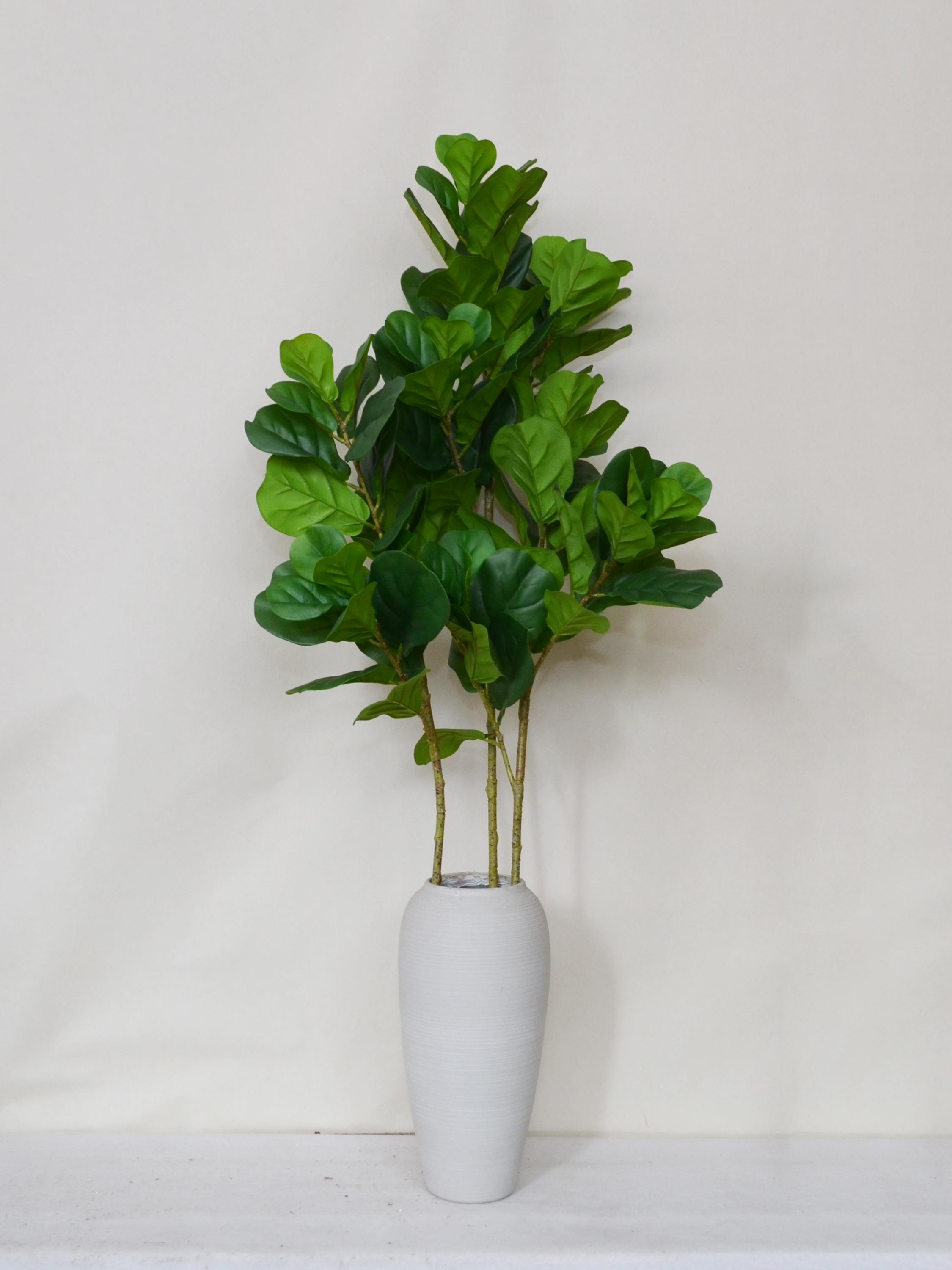 kirschlorbeer säulenform Kirschlorbeer Genolia ® (Prunus laurocerasus) | 125-150 cm im Topf