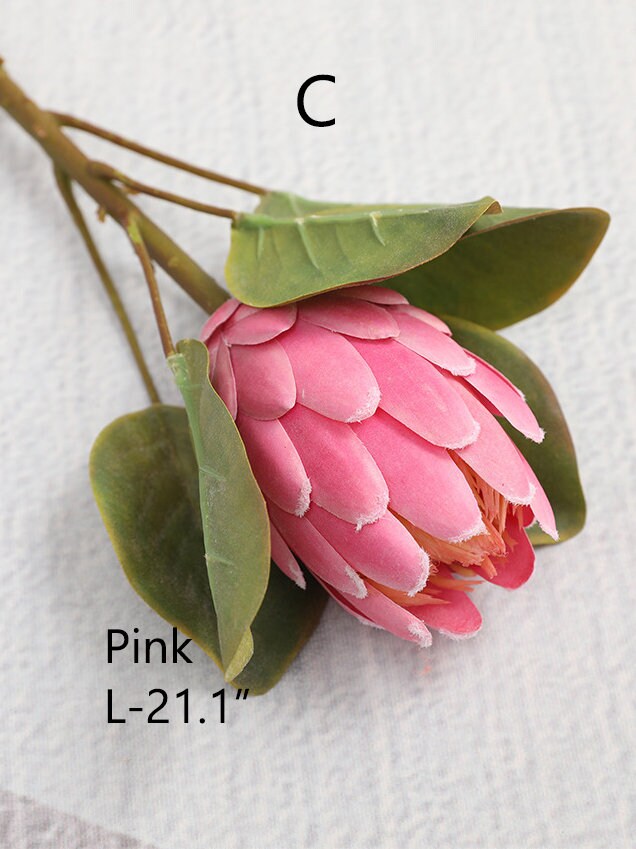 Artificial Protea Flower Stems With Leaves Tropical Flower Etsy