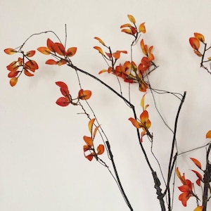 May include: A branch with thin, black twigs and small, orange-red leaves. The leaves are clustered together and have a slightly textured appearance.