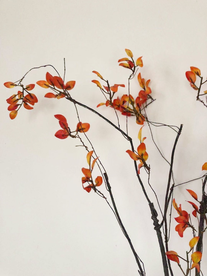 May include: A branch with thin, black twigs and small, orange-red leaves. The leaves are clustered together and have a slightly textured appearance.