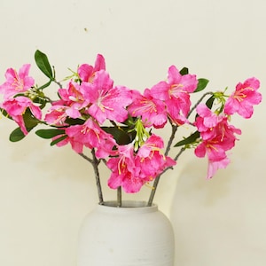 Könnte beinhalten: Ein Strauß leuchtend rosa Azaleenblüten mit grünen Blättern in einer weißen Keramikvase. Die Blüten haben mehrere Blütenblätter und sind in voller Blüte. Die Vase hat eine einfache, runde Form.