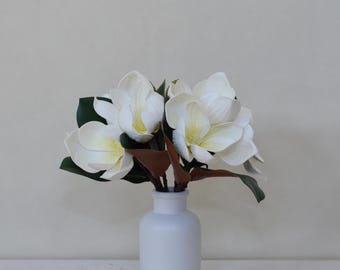 Puede incluir: Un ramo de flores de magnolia blancas con centros amarillos y hojas de color verde oscuro en un jarrón blanco pequeño. Las flores están en plena floración, creando una estética suave y natural. El jarrón es blanco mate.
