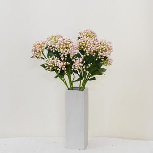 Op de afbeelding: Een boeket van roze en witte bloemen met groene bladeren in een hoge, rechthoekige, lichtgrijze vaas. De bloemen hebben kleine, ronde knoppen. De vaas staat op een wit oppervlak.