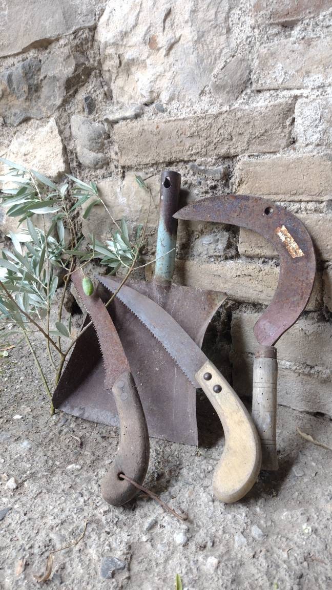Ensemble De 5 Outils