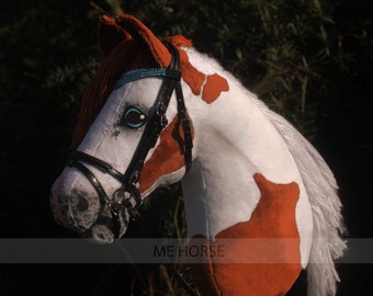 Piebald Skewbald with halter and bridle