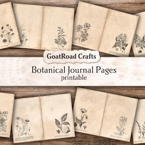 Botanical Journal Pages. Printable paper collection for junk journals. Coffee dyed and black and white. Digital Download. GoatRoad Crafts