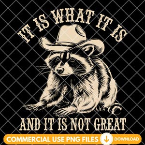 It Is What It Is And It Is Not Great Png, Funny Raccoon Png, Raccoon Meme Png, Racoon Png, Sarcastic Saying Png, Funny Trash Panda Pod png