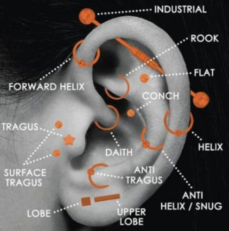 May include: Diagram of an ear with various piercing locations labeled, including industrial, rook, flat, forward helix, conch, tragus, daith, surface tragus, anti tragus, helix, and anti helix/snug.