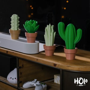 Top 50+ meilleurs objets déco cactus