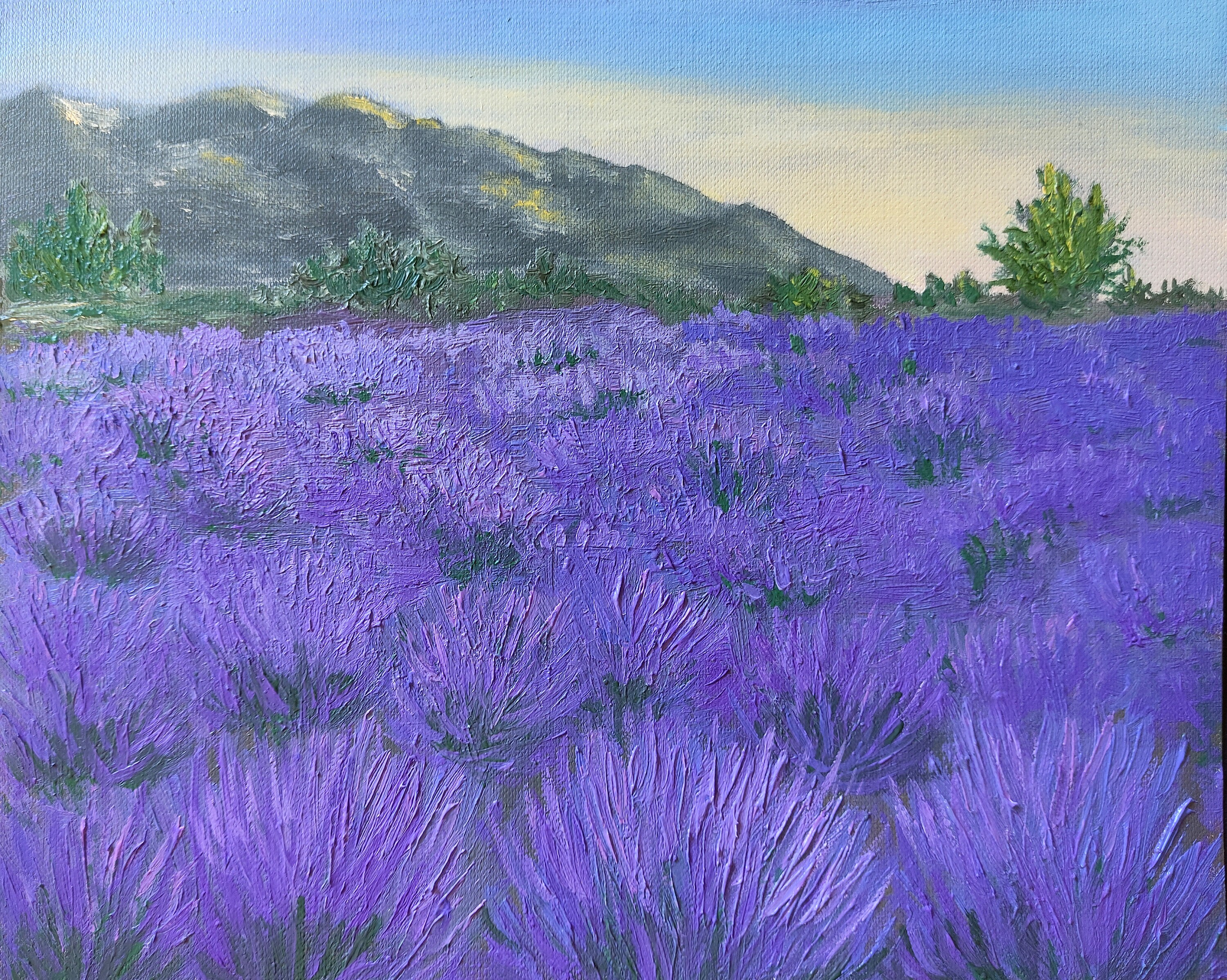 Lavender Field, Original Oil Painting on Paper, Only Handmade, Size 24 x 19 cm (9.5 x 7.5")