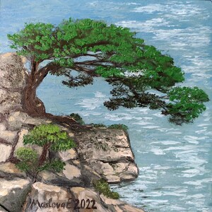 Grande pino su una roccia in riva al mare, dipinto ad olio su carta, dimensioni 20 x 20 cm (8 x 8")