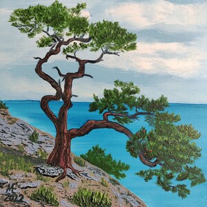 Pino su una roccia in riva al mare, dipinto ad olio su carta, dimensioni 25 x 25 cm (10 x 10")
