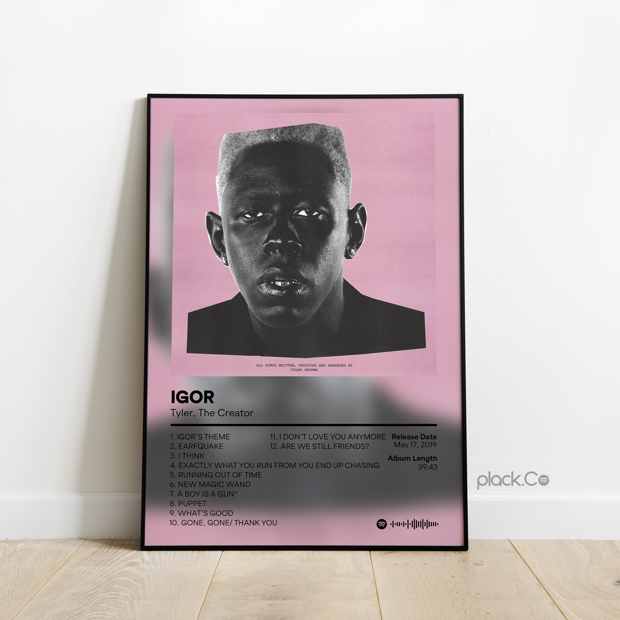 Tyler the Creator Wall Art 