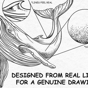 May include: A black and white line drawing of a whale with the text "*LINES FEEL REAL" and "*DOTS ARE UNIQUE" and the text "DESIGNED FROM REAL LINERS FOR A GENUINE DRAWING".
