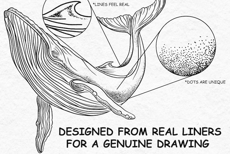 May include: A black and white line drawing of a whale with the text "*LINES FEEL REAL" and "*DOTS ARE UNIQUE" and the text "DESIGNED FROM REAL LINERS FOR A GENUINE DRAWING".