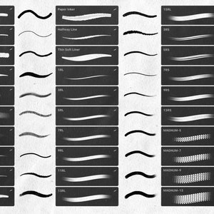 May include: A digital illustration of 24 different brush strokes, each with a unique texture and style. The brush strokes are arranged in two columns, with the names of each brush stroke listed to the left of the stroke.