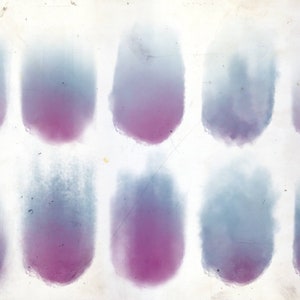 May include: A white background with 12 oval-shaped blotches of color. The blotches are a gradient of blue and purple.