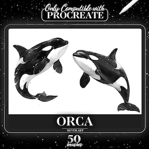 Peut inclure: Une illustration numérique de deux orques, ou épaulards, noirs et blancs, sautant hors de l'eau. L'image est intitulée "ORCA REYERART 50 brushes" et est compatible avec Procreate.