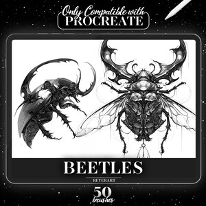 Könnte beinhalten: Eine digitale Illustration von zwei Käfern, einer mit Flügeln und einer ohne, in Schwarzweiß. Das Bild ist mit "BEETLES" und "REYERART" beschriftet, darunter der Text "50 brushes". Das Bild ist für Procreate.