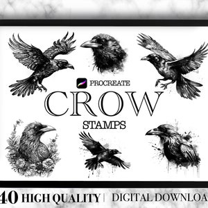 Crow Portrait Designs for Procreate / tattoo stamp - 40 designs - stamps digital for iPad - unique illustration flash - Crow Tattoo