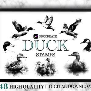 May include: A set of 48 digital stamps featuring black and white illustrations of ducks in various poses. The stamps are designed for use with the Procreate app and are labeled "Duck Stamps".