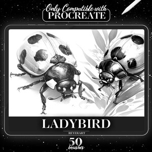 May include: Black and white illustration of two ladybugs on a leaf. The image is for a Procreate brush set called "Ladybird" by Reyert Art, with 50 brushes.