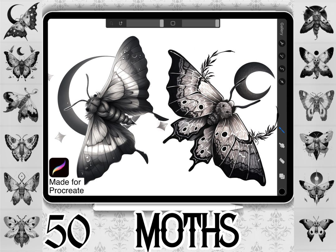 Moth Procreate Brushes | 50 Tattoo & Animal Designs (instant Download ...