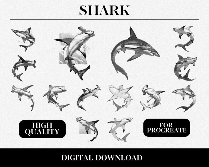Shark Procreate Brush Set | 50 Marine Life Digital Brushes - Etsy Canada